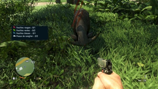 Far Cry 3 chasse