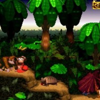 Donkey Kong Country 7