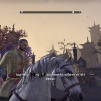 The Elder Scrolls Online - Tamriel Unlimited personnage à cheval