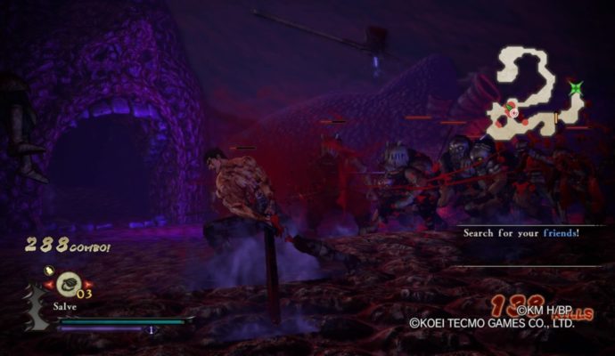 Berserk and the band of the Hawk