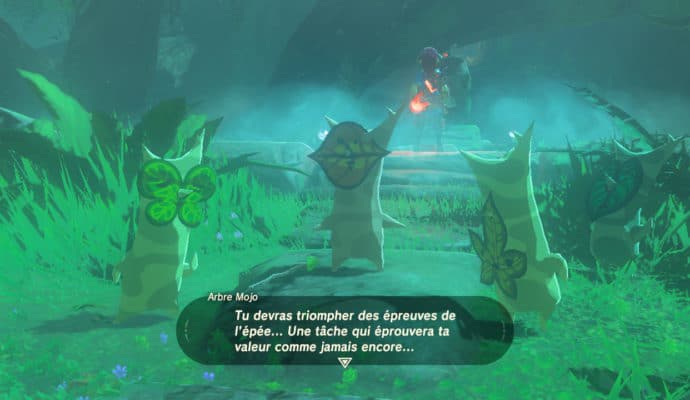 The Legend of Zelda: Breath of the Wild - épreuves légendaires Korogu