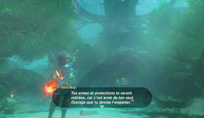 The Legend of Zelda: Breath of the Wild - épreuves légendaires Link