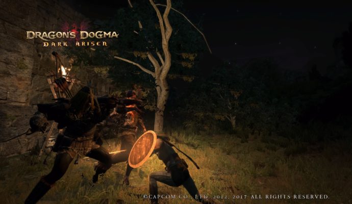 Dragon's Dogma: Dark Arisen cooperation