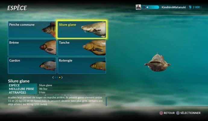 Fishing Sim World codex poissons