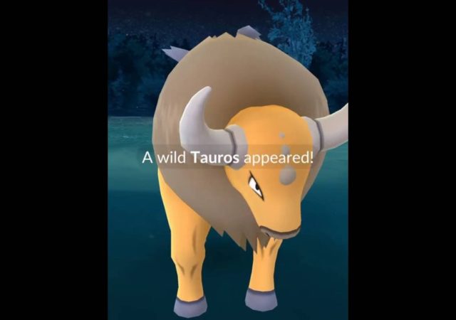 Pokémon GO Tauros