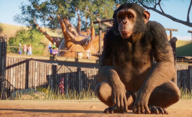 Planet Zoo – Les animaux se montrent en vidéo !