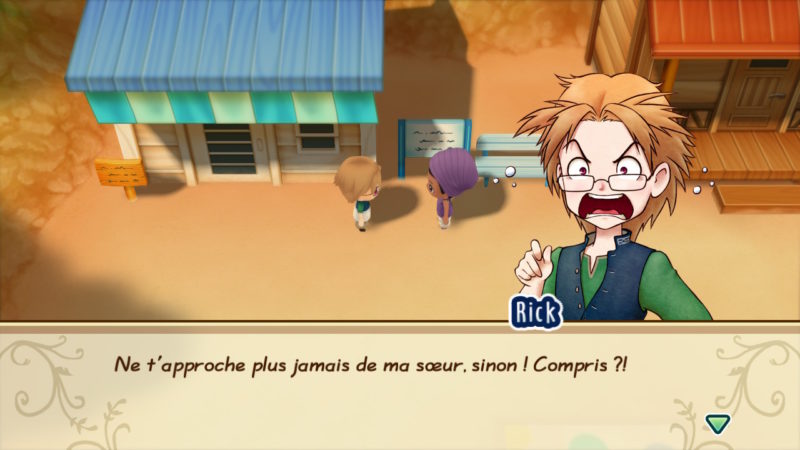 Story of Seasons: Friends of Mineral Town - Dialogue