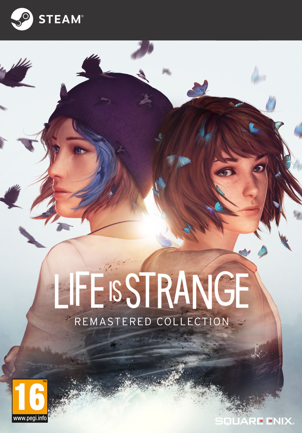 Jaquette du jeu Life is Strange Remastered Collection