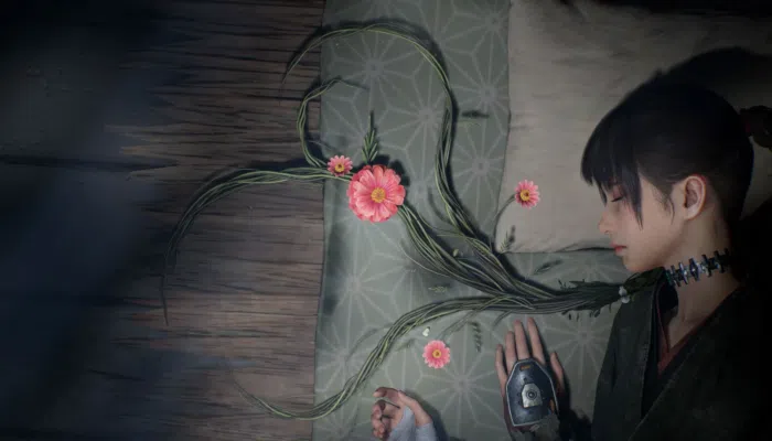 Beast of Reincarnation - Au-delà de la licence Pokémon