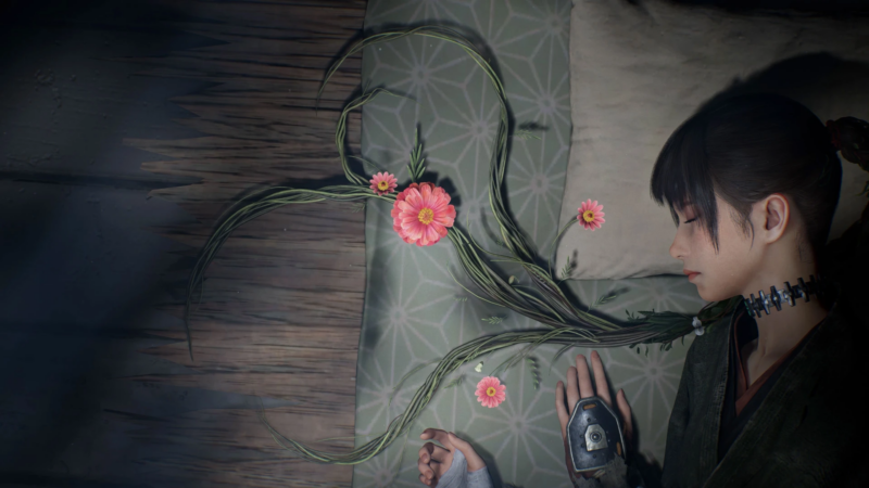 Beast of Reincarnation – Au-delà de la licence Pokémon