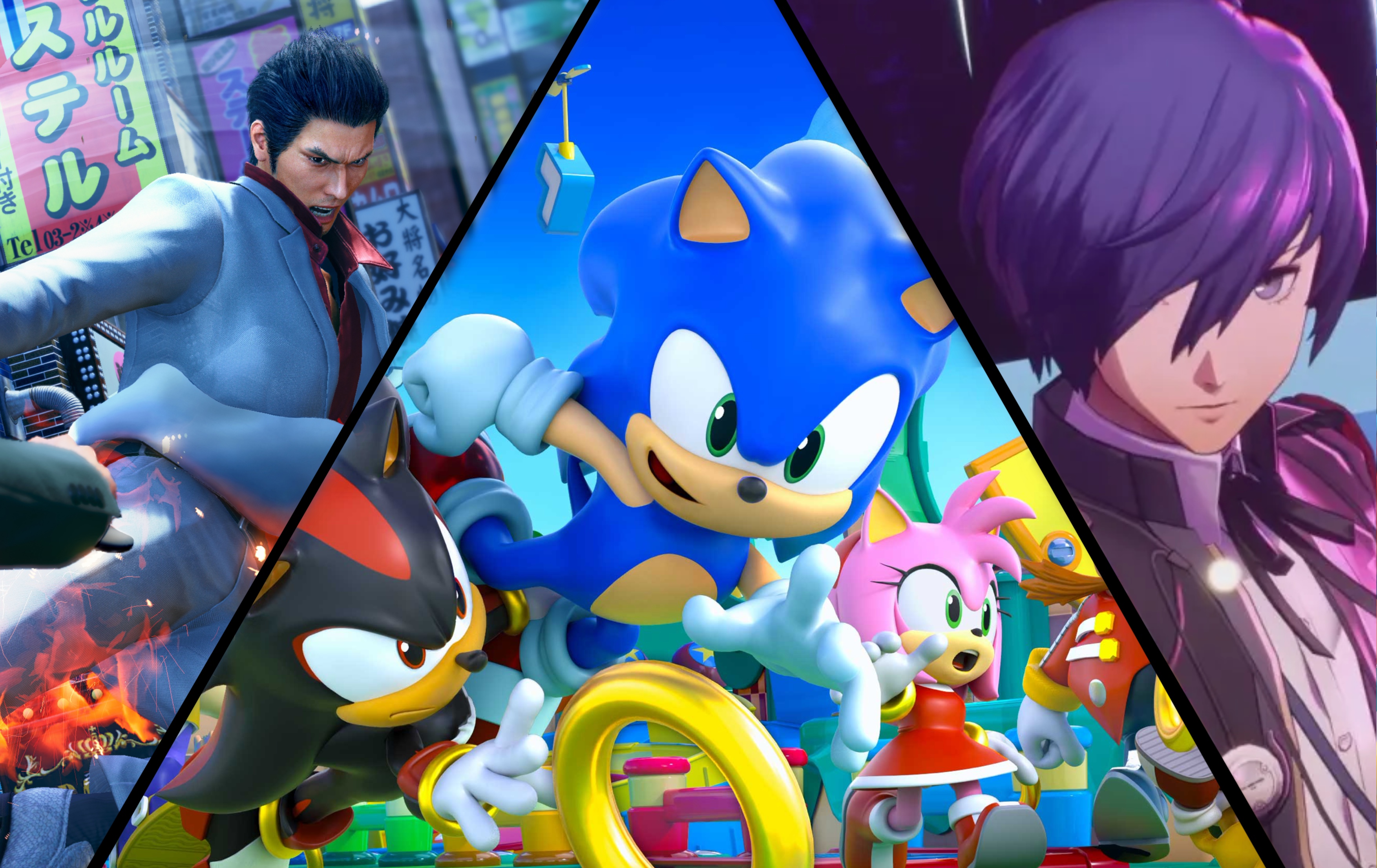 SEGA - Bilan financier de l'entreprise en 2025